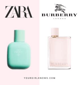 dior sauvage zara dupe|burberry her dupe zara.